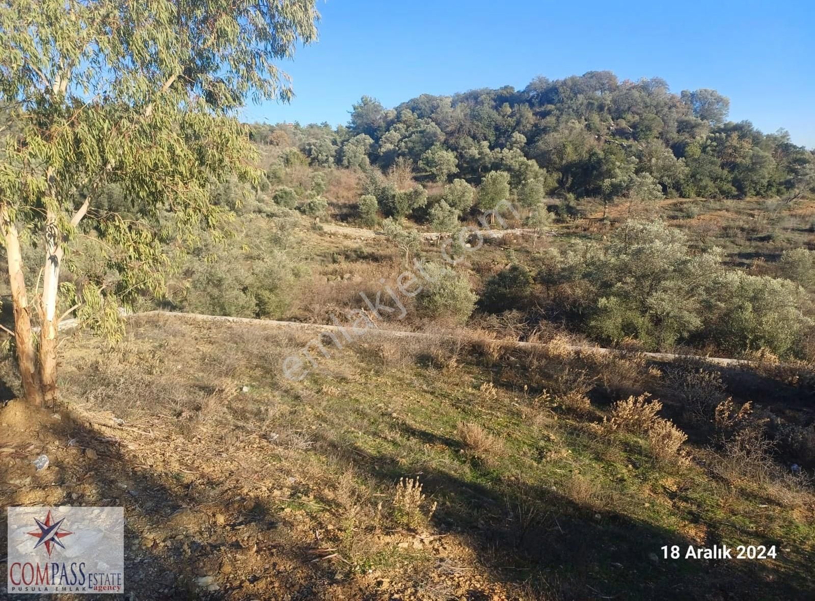 Ula Esentepe Satılık 1015 M2 Tarla - Görsel 8