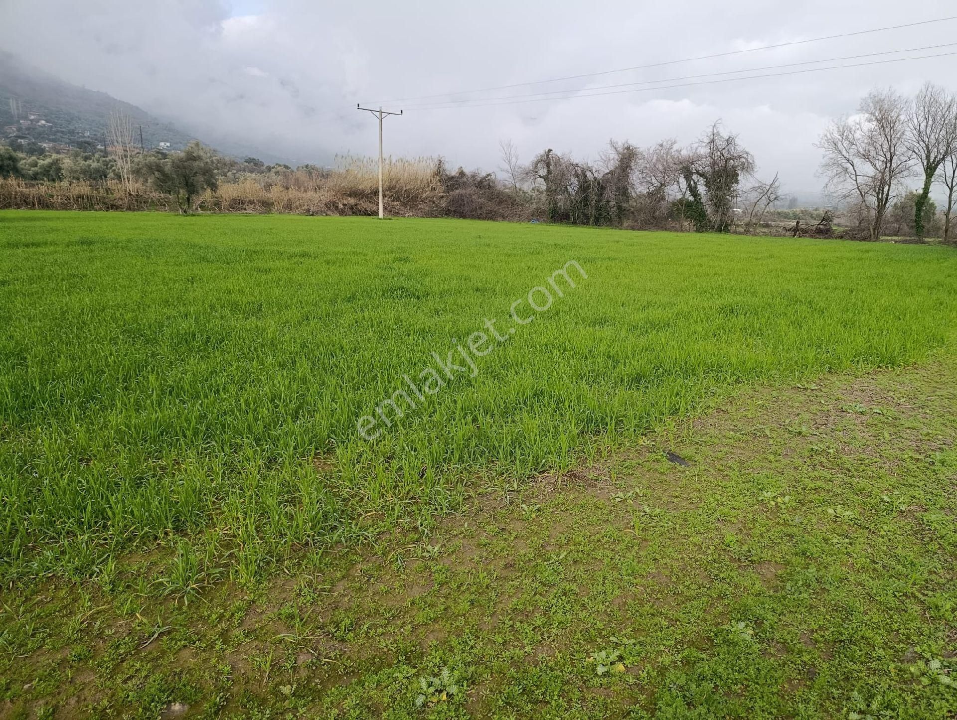 Sulu Tarım Arzisi Fiyat Uygun