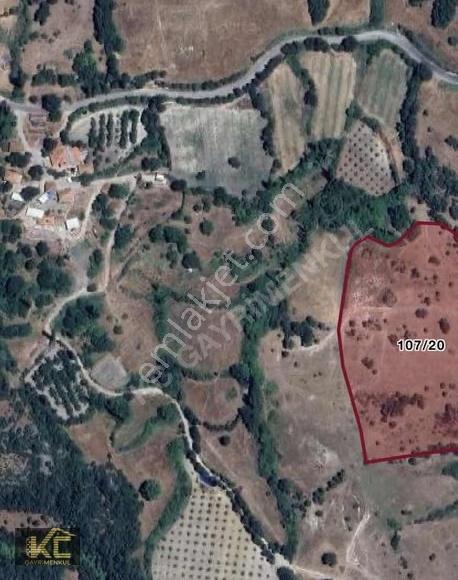 Kc'den Savaştepe Söğütlügüzle Mh.bulunan 21.942m2 Satılık Arazi - Görsel 4