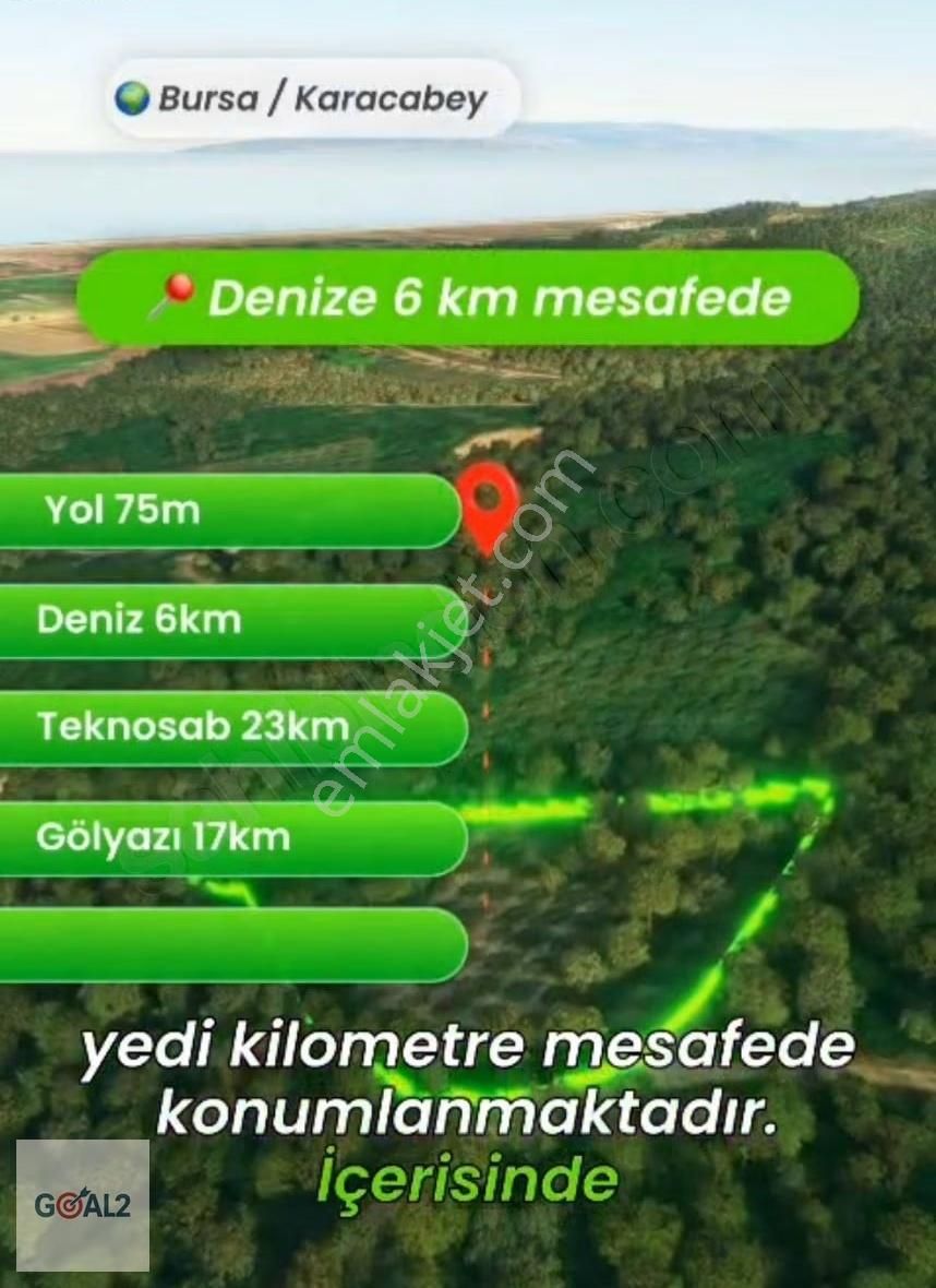 Zeytinlik-bursa,karacabey,ballıkaya Mahallesınde Satılık Tarla - Görsel 3