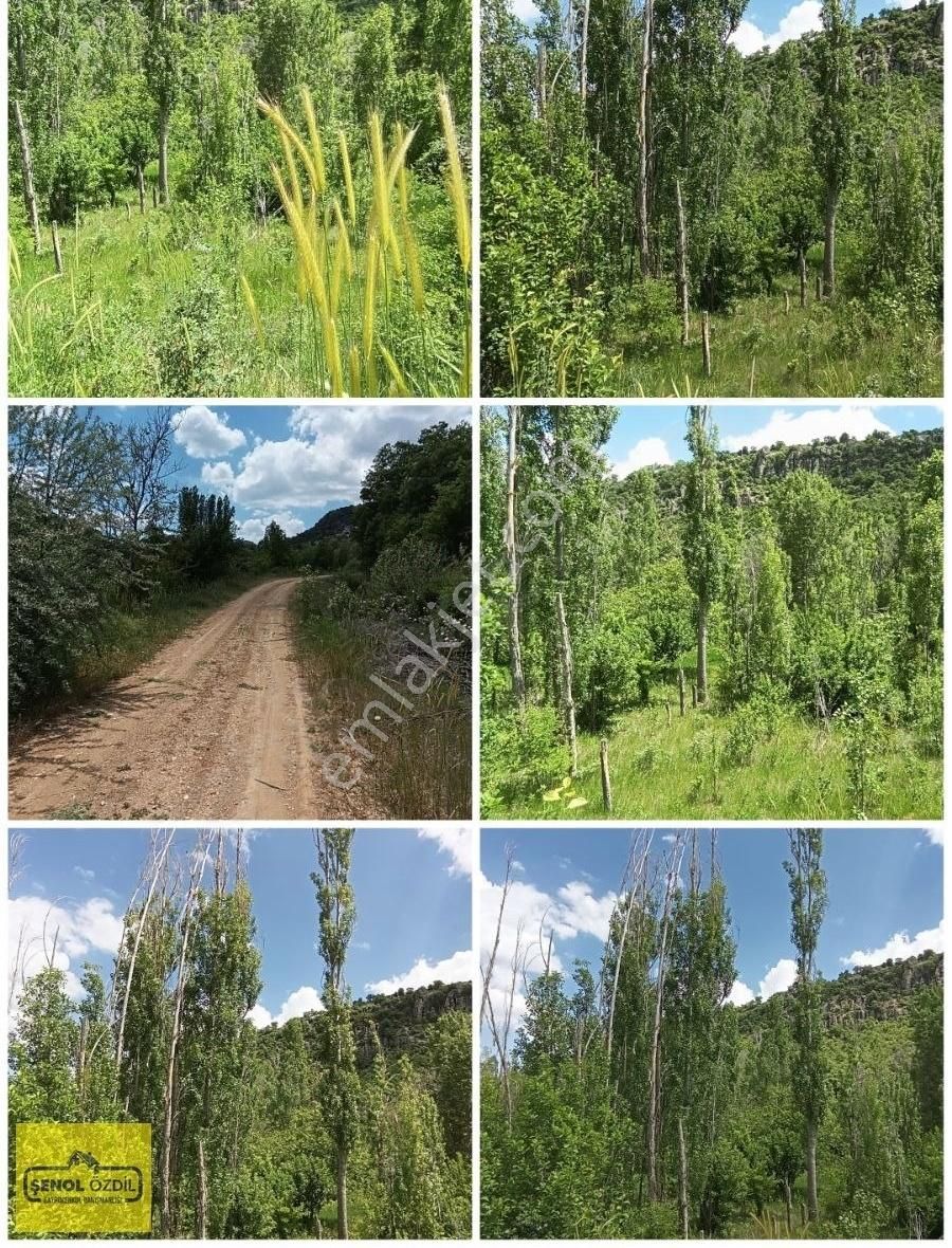Şenol Özdil'den Satılık Bahçe 609 M.kare Erenkaya Bulumya'da - Görsel 3