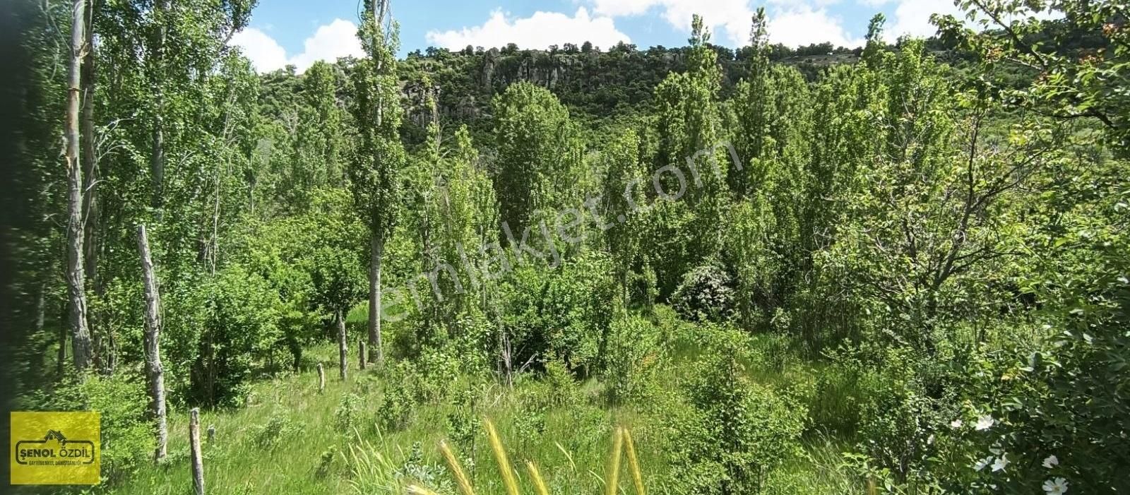 Şenol Özdil'den Satılık Bahçe 609 M.kare Erenkaya Bulumya'da - Görsel 7