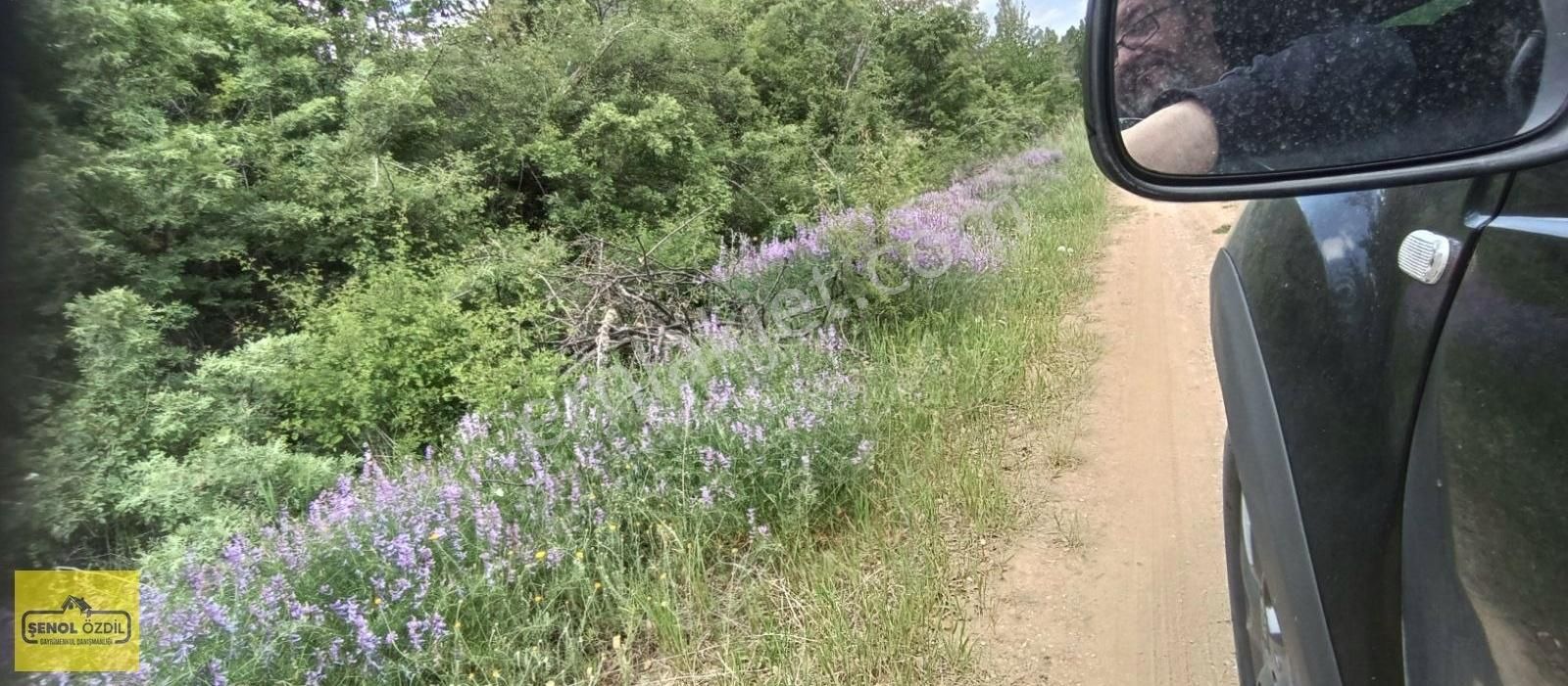 Şenol Özdil'den Satılık Bahçe 609 M.kare Erenkaya Bulumya'da - Görsel 5