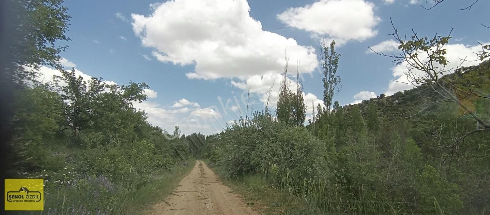 Şenol Özdil'den Satılık Bahçe 609 M.kare Erenkaya Bulumya'da - Görsel 2