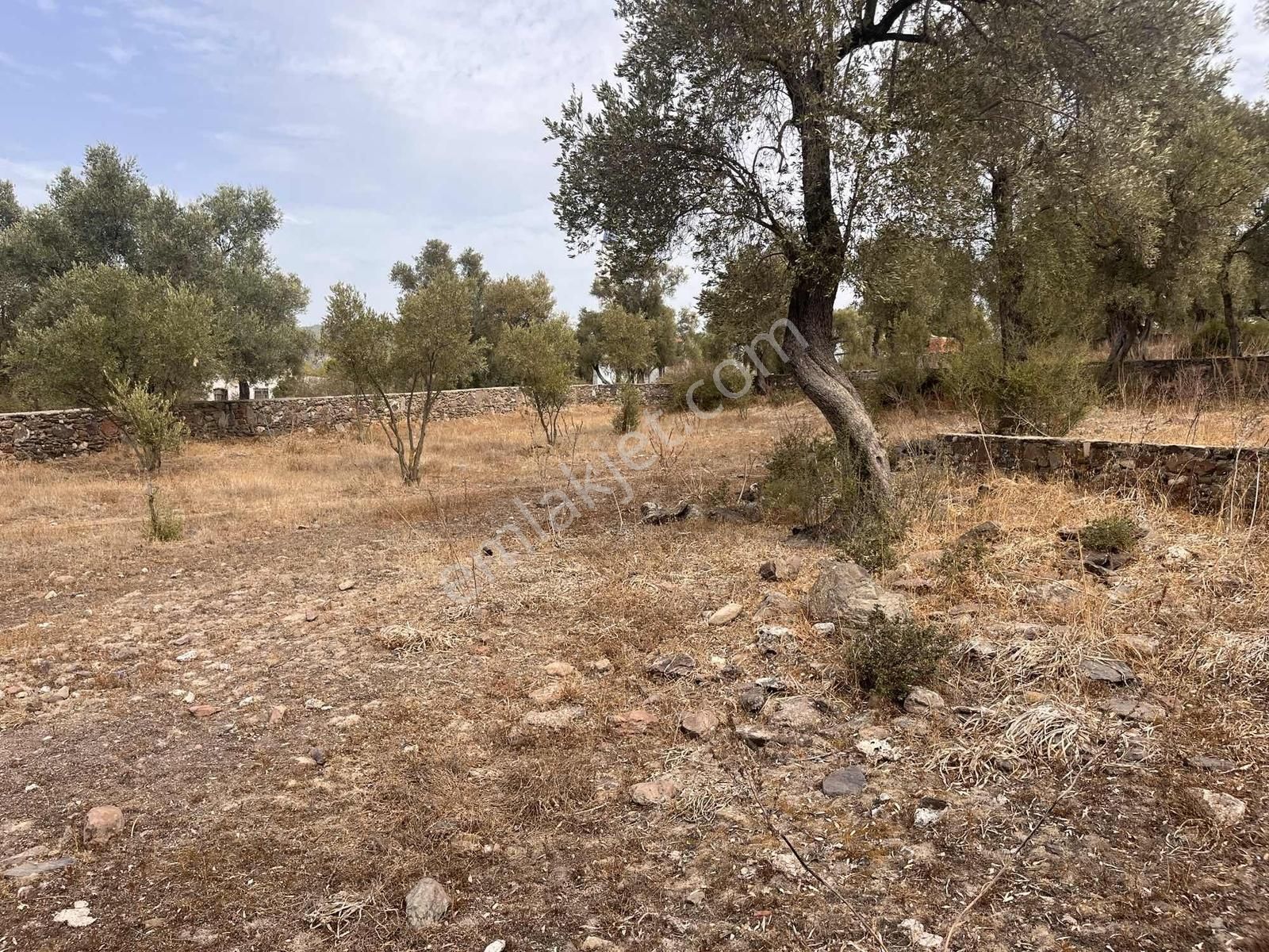 Bodrum Bahçeyaka Da Muhteşem Köy İçi Satılık Tarla - Görsel 2