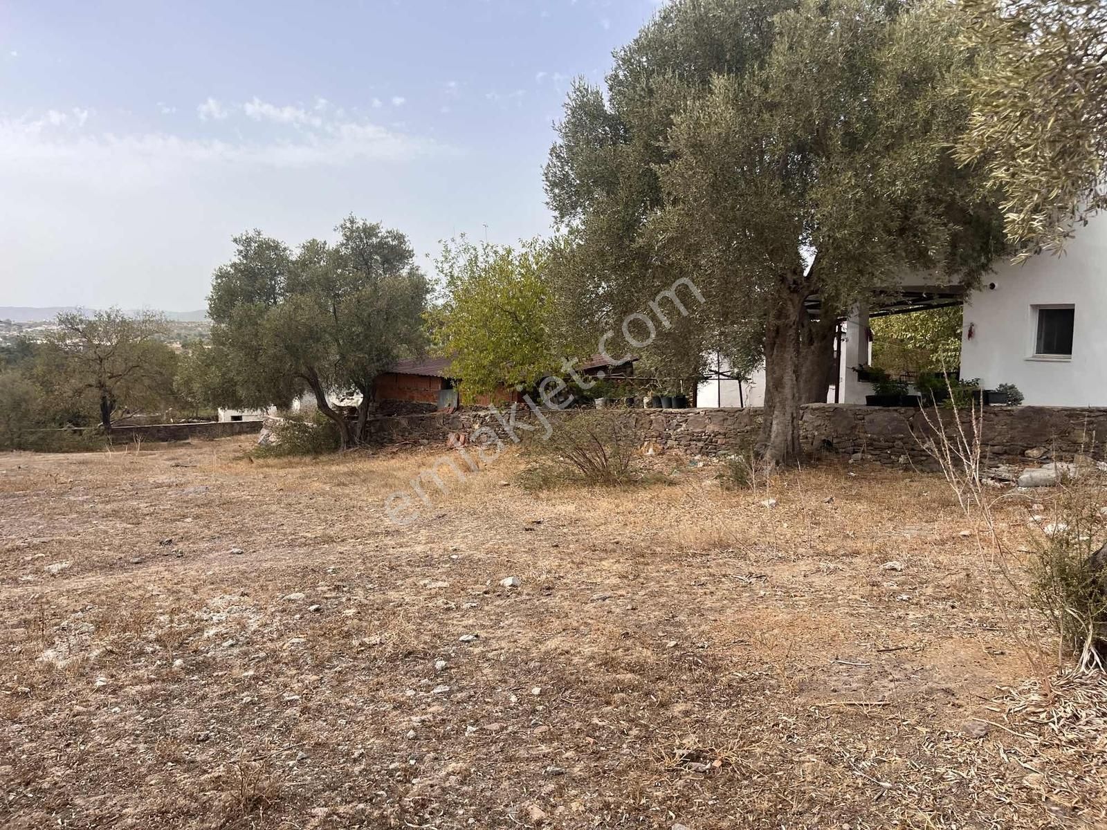 Bodrum Bahçeyaka Da Muhteşem Köy İçi Satılık Tarla - Görsel 12