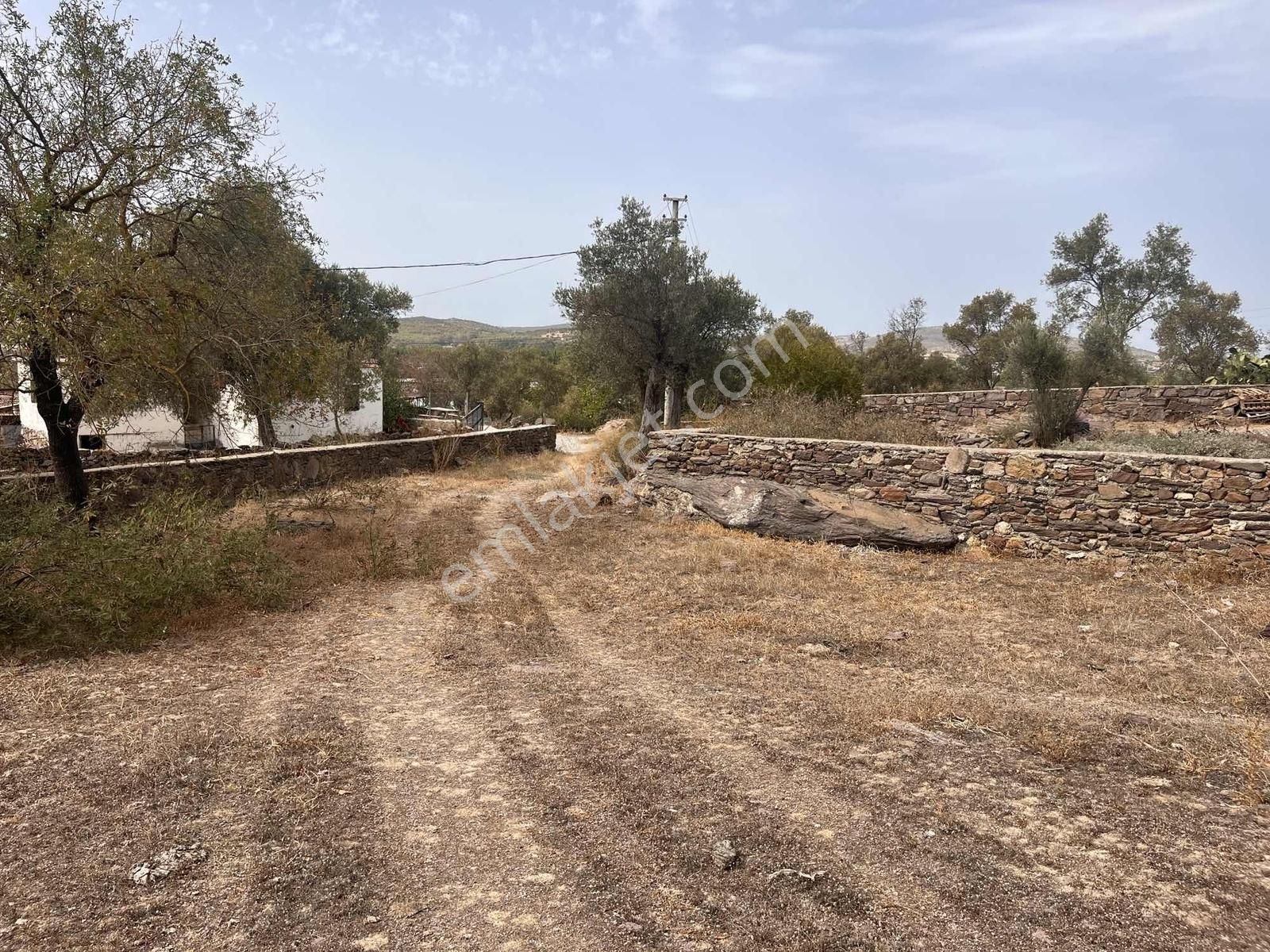 Bodrum Bahçeyaka Da Muhteşem Köy İçi Satılık Tarla - Görsel 4