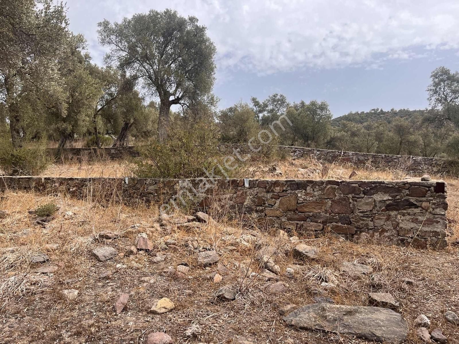 Bodrum Bahçeyaka Da Muhteşem Köy İçi Satılık Tarla - Görsel 13