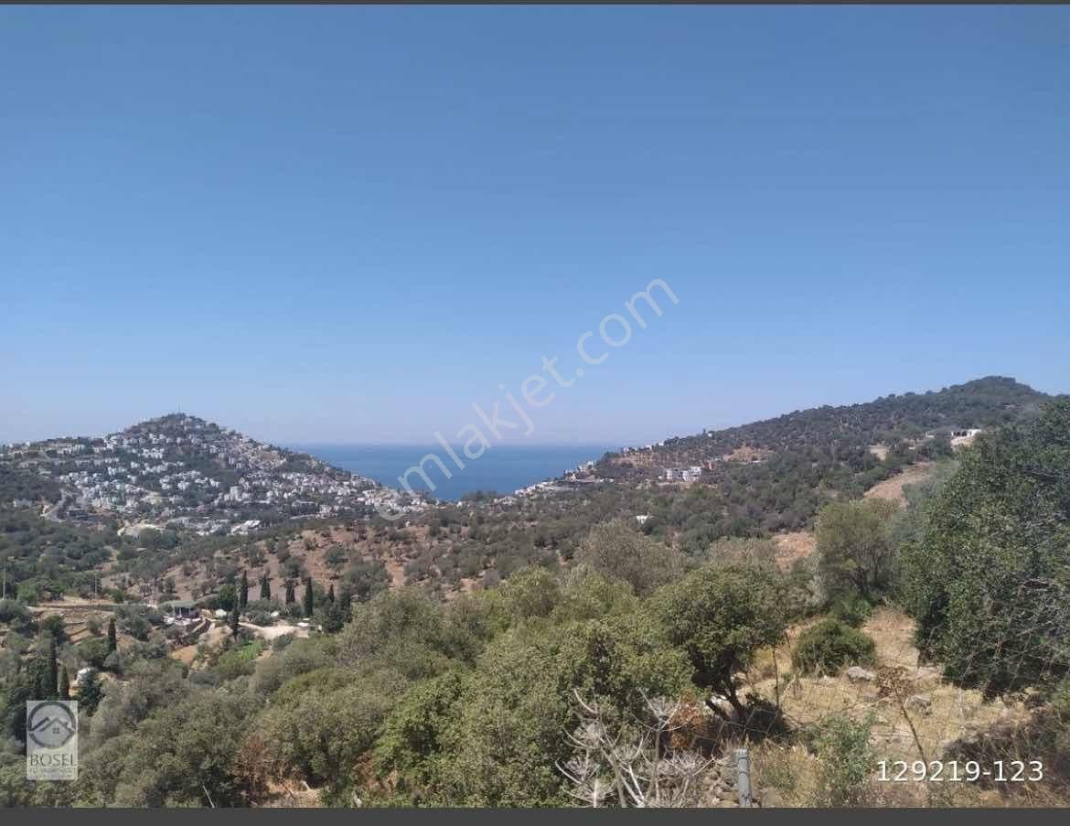 Bodrum Yalıkavak Geriş De Satılık Malikane Arsası - Görsel 2