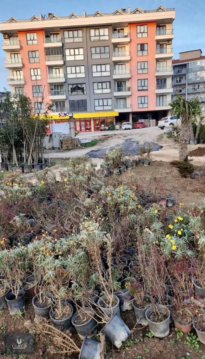 Ülker'den Halitpaşa Mh. Kiralık 1+1 Daire - Görsel 10