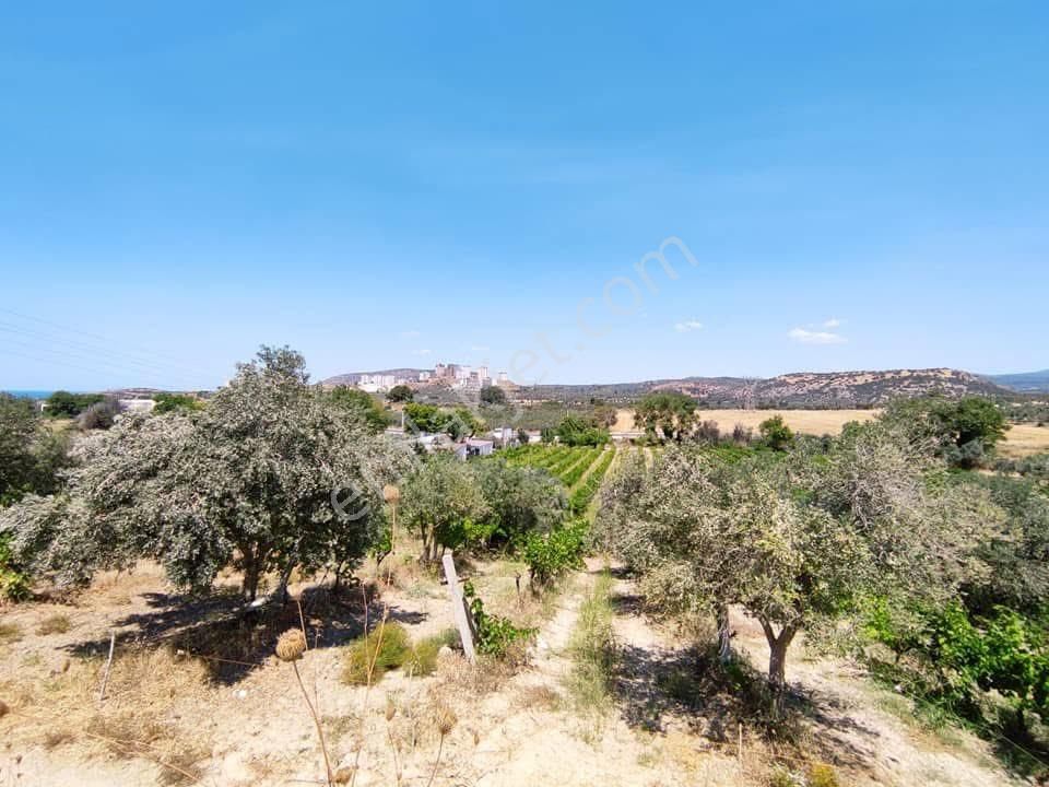 Yola Sıfır 9755m2 İmara Yakın Yola Cephesi 80 Metre - Görsel 6