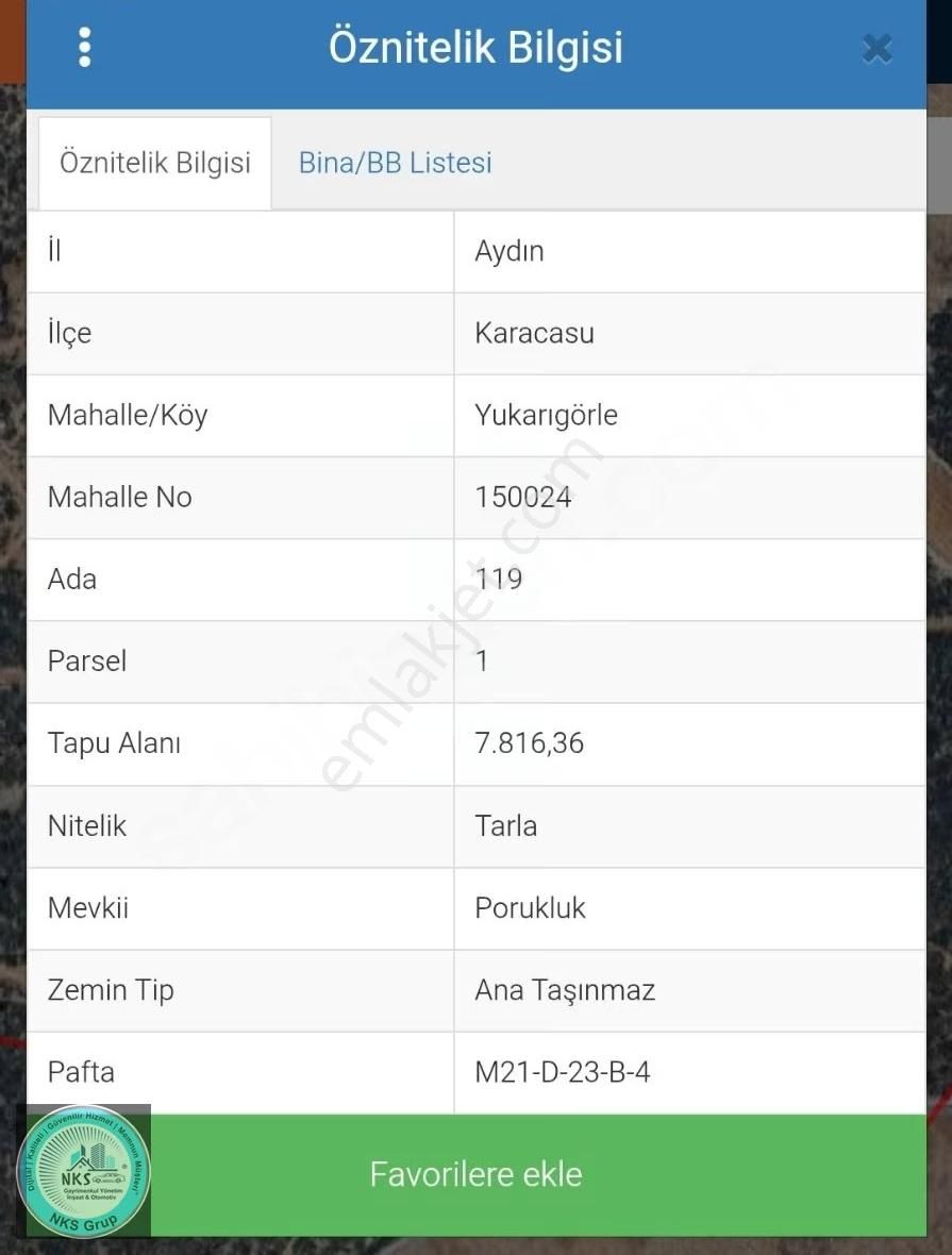 Aydın Karacasu'da 54 Dönüm Satılık Tarla - Yatırım Fırsatı! - Görsel 5