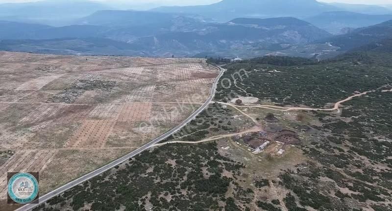 Aydın Karacasu'da 54 Dönüm Satılık Tarla - Yatırım Fırsatı! - Görsel 16