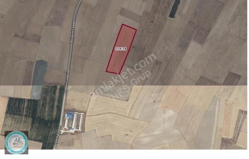 Denizli Çardakta Fırsat Fiyatla Satılık Araziler - Görsel 3