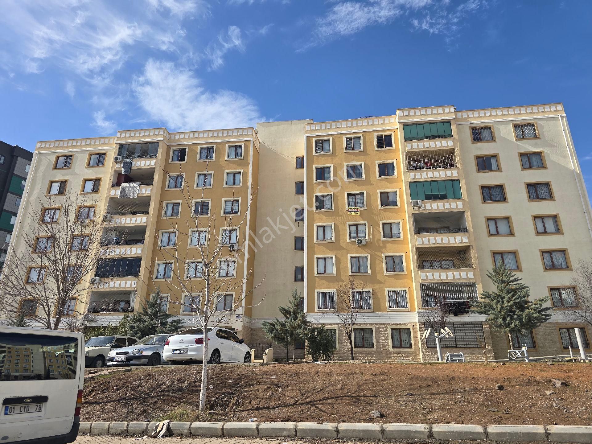 Kiralık 2+1 Sarı Toki