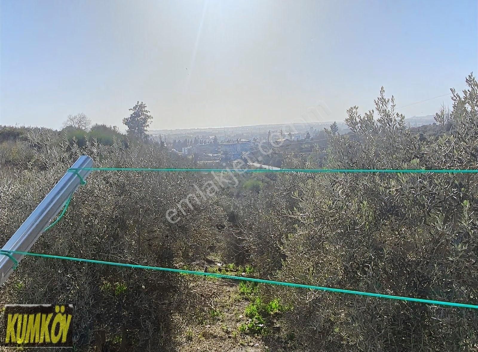 Müstakil Ev Arayanlara Kaçmaz Fırsat - Görsel 18