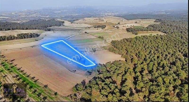 Çanakkale Gökçalı Köyünde Tarla - Görsel 3