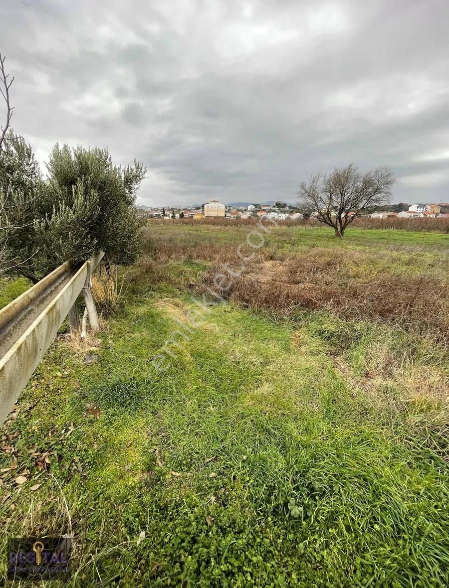 İmara Sınır, Fırsat Tarla... - Görsel 3