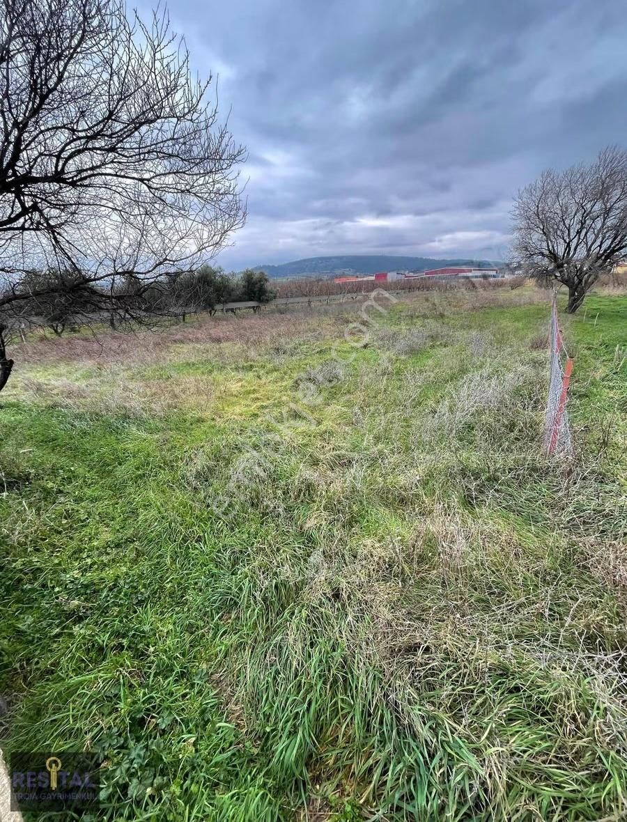 İmara Sınır, Fırsat Tarla... - Görsel 15