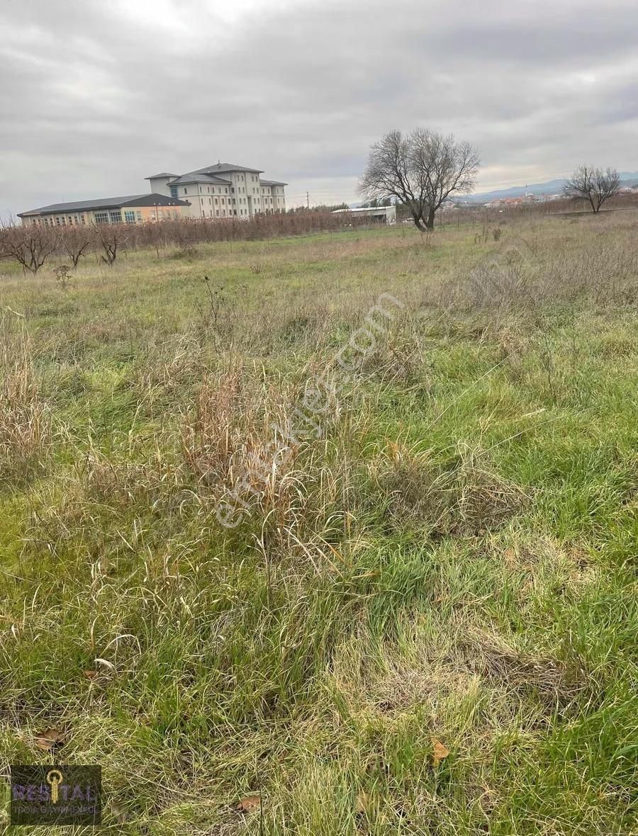 İmara Sınır, Fırsat Tarla... - Görsel 4