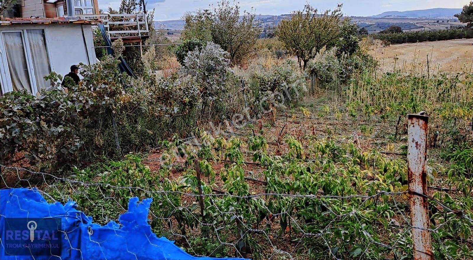 Yapıldak/saltık Mevkiin'de,denize Yakın,doğa İçinde Fırsat Tarla - Görsel 16