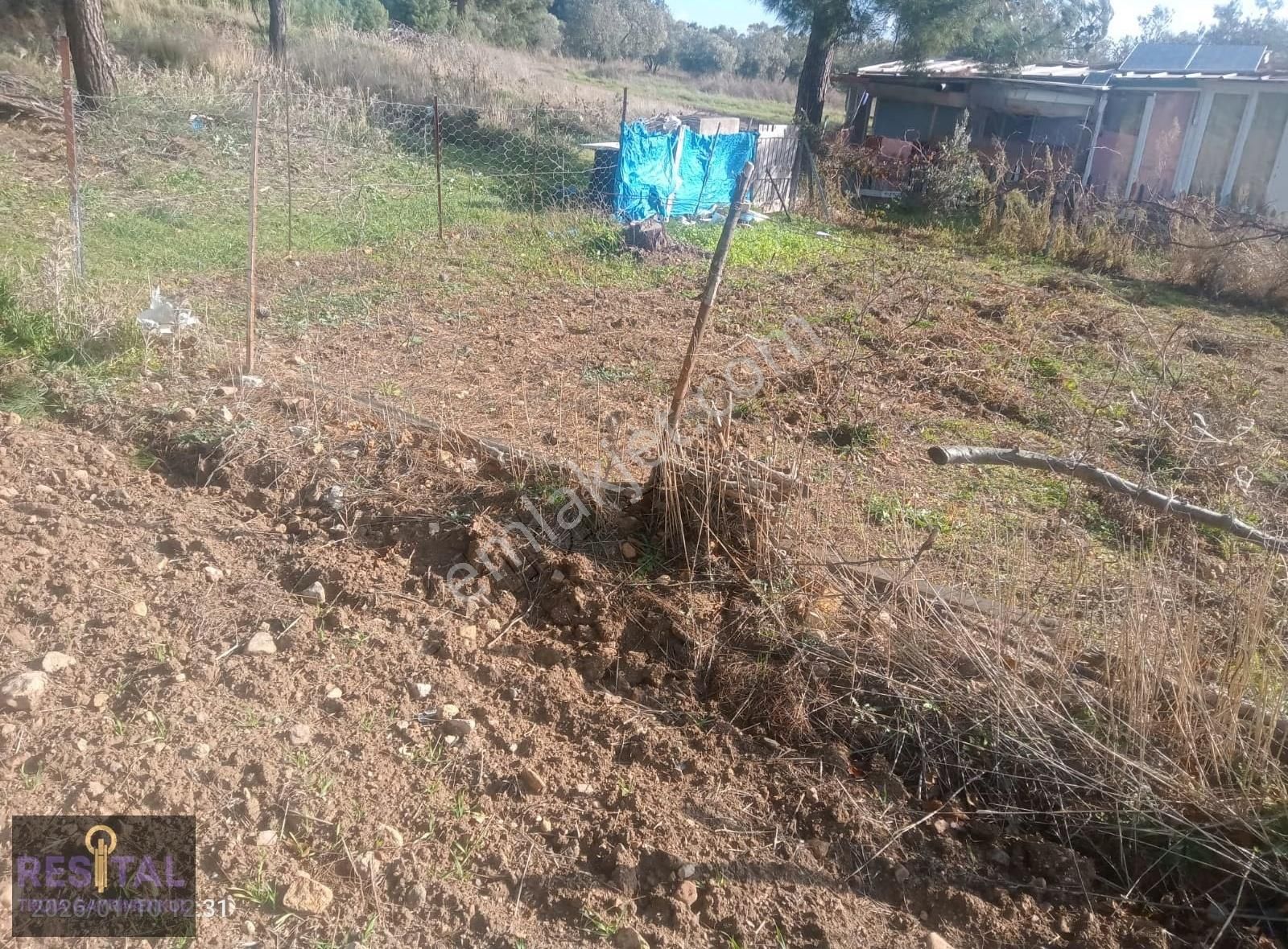 Çanakkale ,yapıldak Köyü ,saltık Mevkii'de, Denize Yakın, Tarla! - Görsel 10