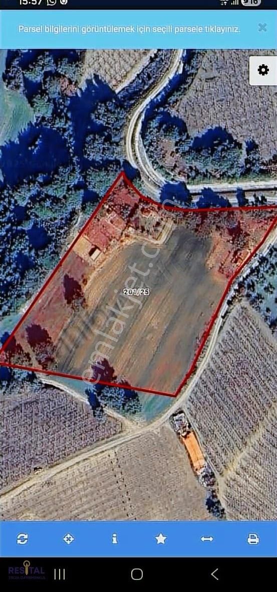 Çanakkale ,yapıldak Köyü ,saltık Mevkii'de, Denize Yakın, Tarla! - Görsel 4