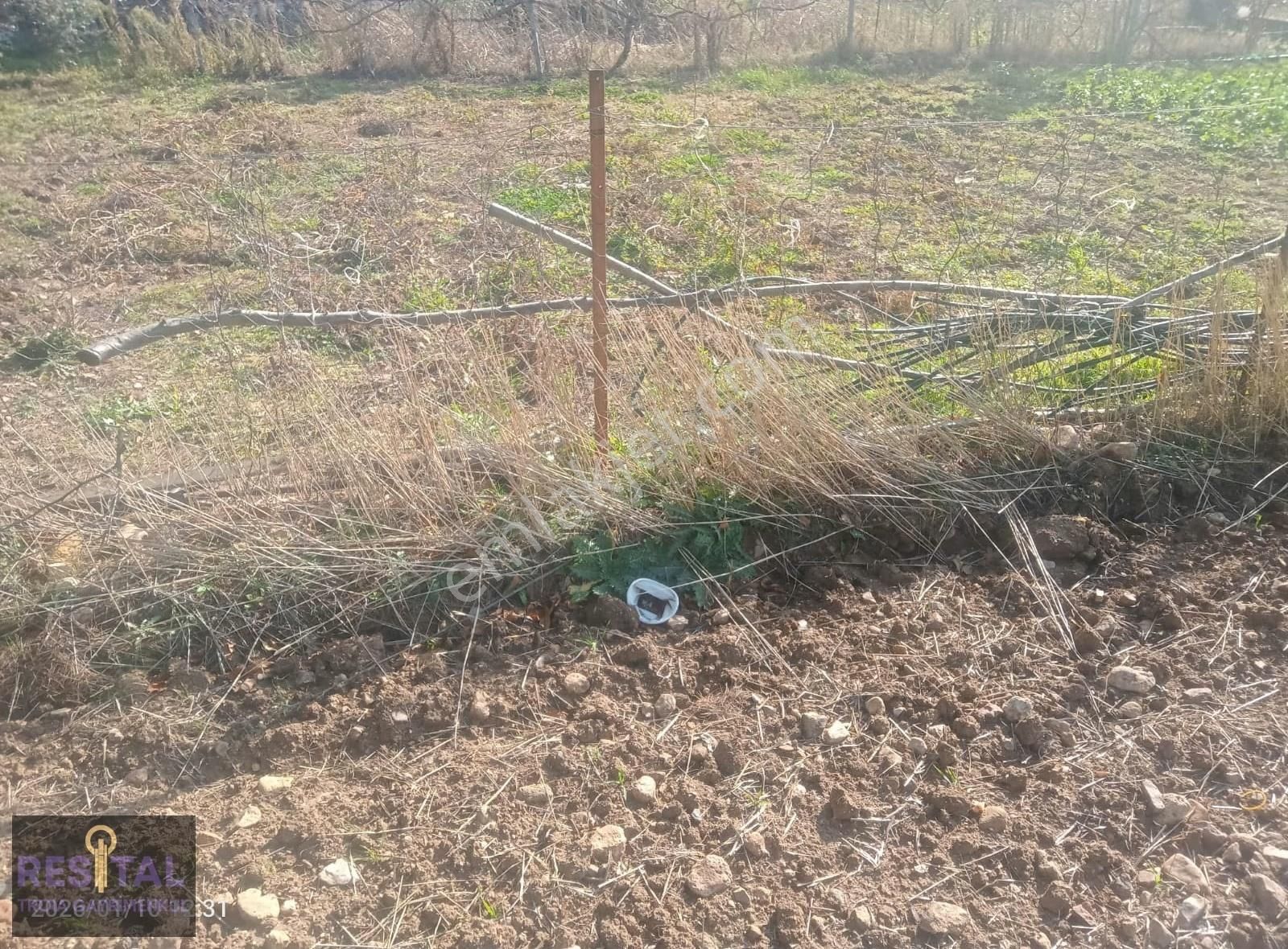 Çanakkale ,yapıldak Köyü ,saltık Mevkii'de, Denize Yakın, Tarla! - Görsel 7