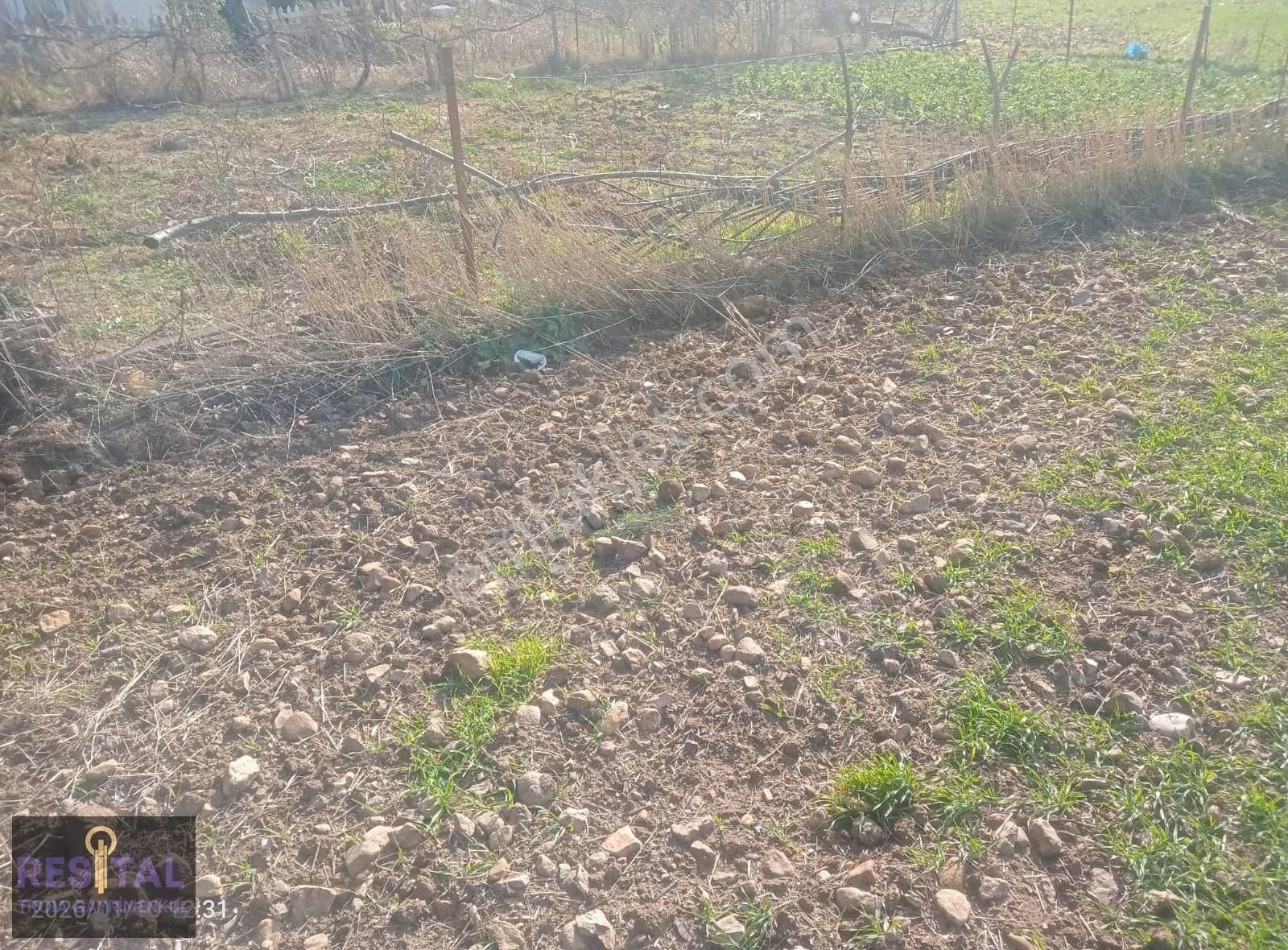 Çanakkale ,yapıldak Köyü ,saltık Mevkii'de, Denize Yakın, Tarla! - Görsel 12