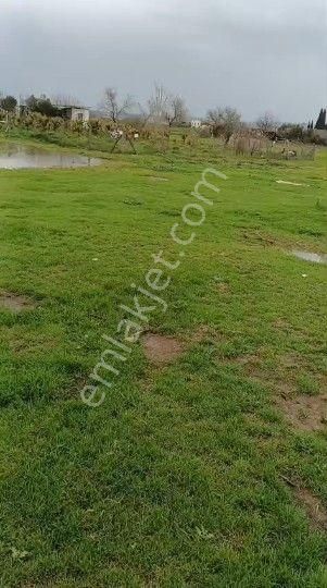 Egeturemlaktan Torbalı Subaşıdan Konut İmarli 4 Katlı Satılık Arsa Acil Satılık.305m2