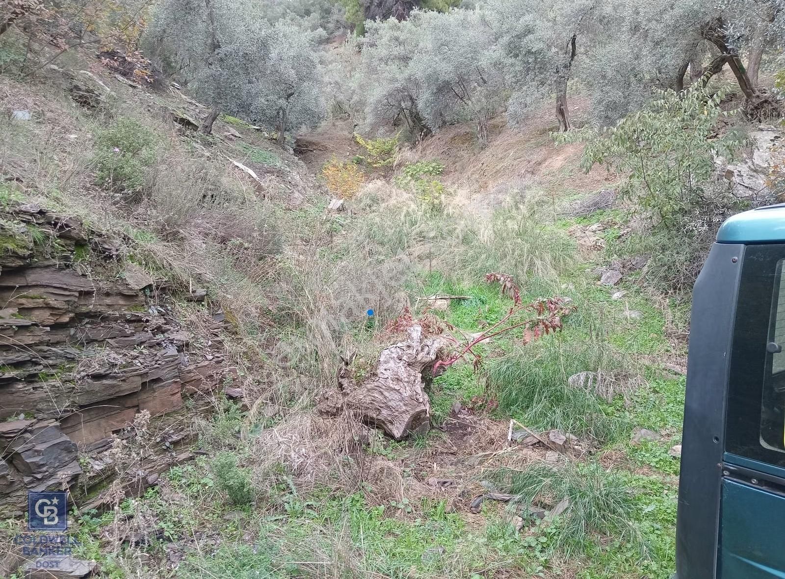 Bayındır Ergenli'de Satılık Tek Tapu Satılık 1144 Mt2 Zeytinlik - Görsel 12