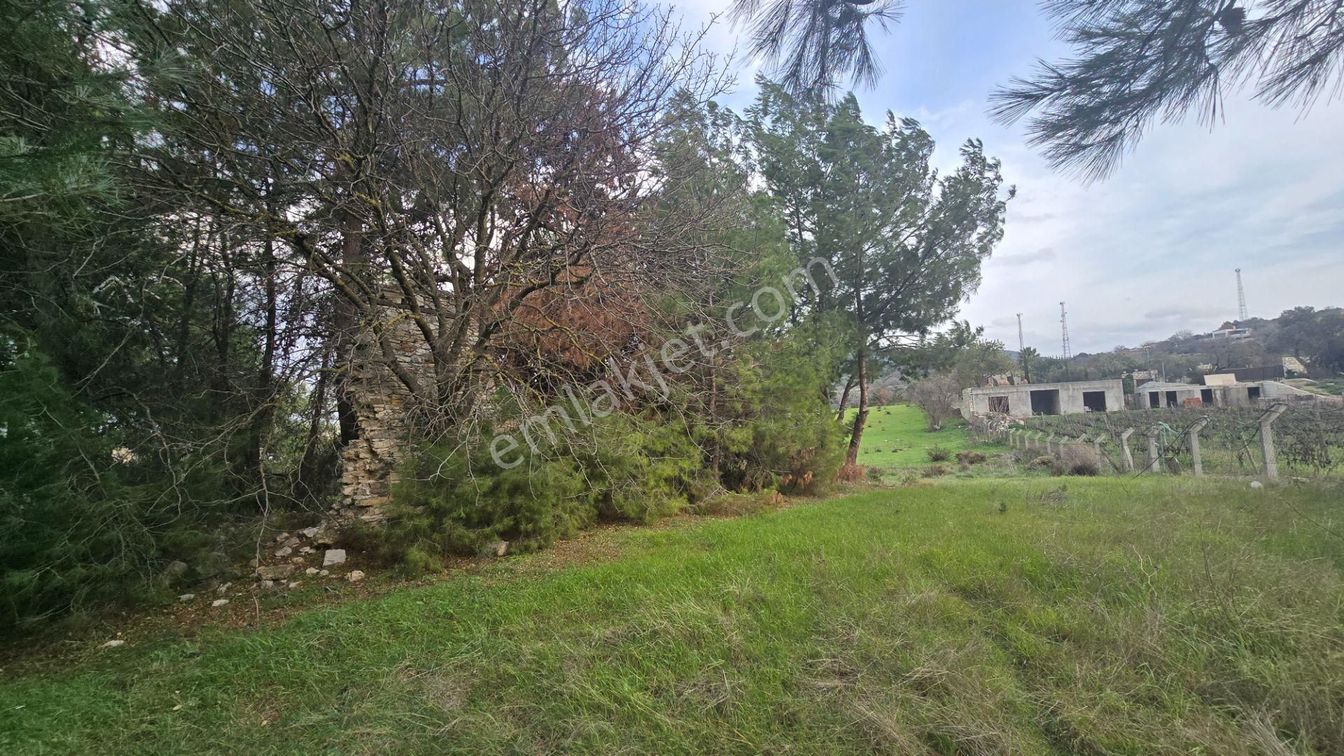 Urla Yelaltı’nda Deniz Manzaralı, Lüks Villalar Arasında Özel Tarla - Görsel 34