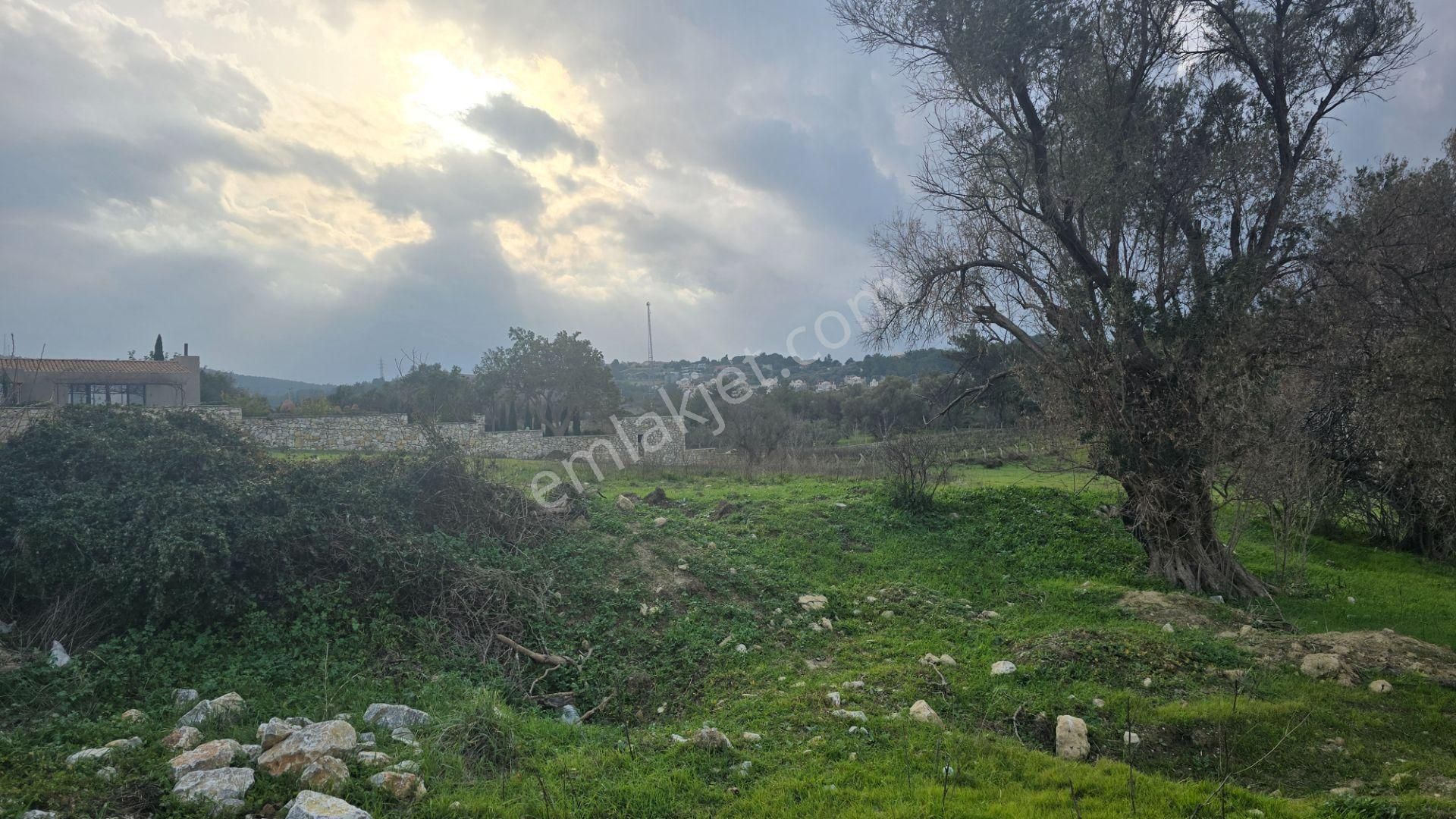 Urla Yelaltı’nda Deniz Manzaralı, Lüks Villalar Arasında Özel Tarla - Görsel 9