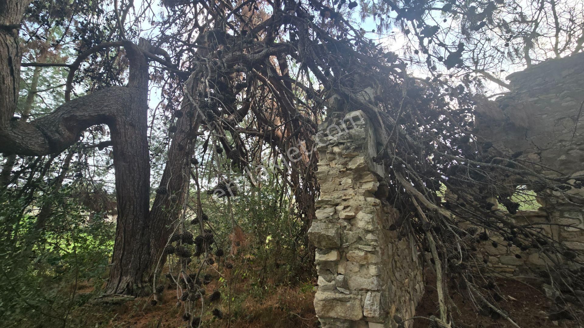 Urla Yelaltı’nda Deniz Manzaralı, Lüks Villalar Arasında Özel Tarla - Görsel 25