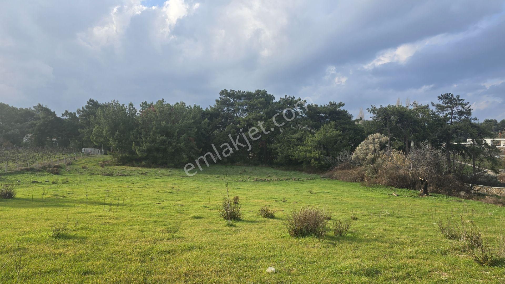 Urla Yelaltı’nda Deniz Manzaralı, Lüks Villalar Arasında Özel Tarla - Görsel 15