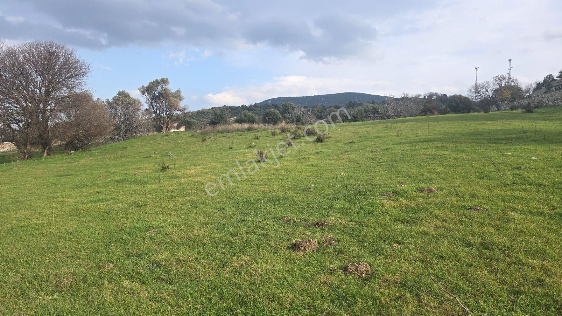 Urla Yelaltı’nda Deniz Manzaralı, Lüks Villalar Arasında Özel Tarla - Görsel 18