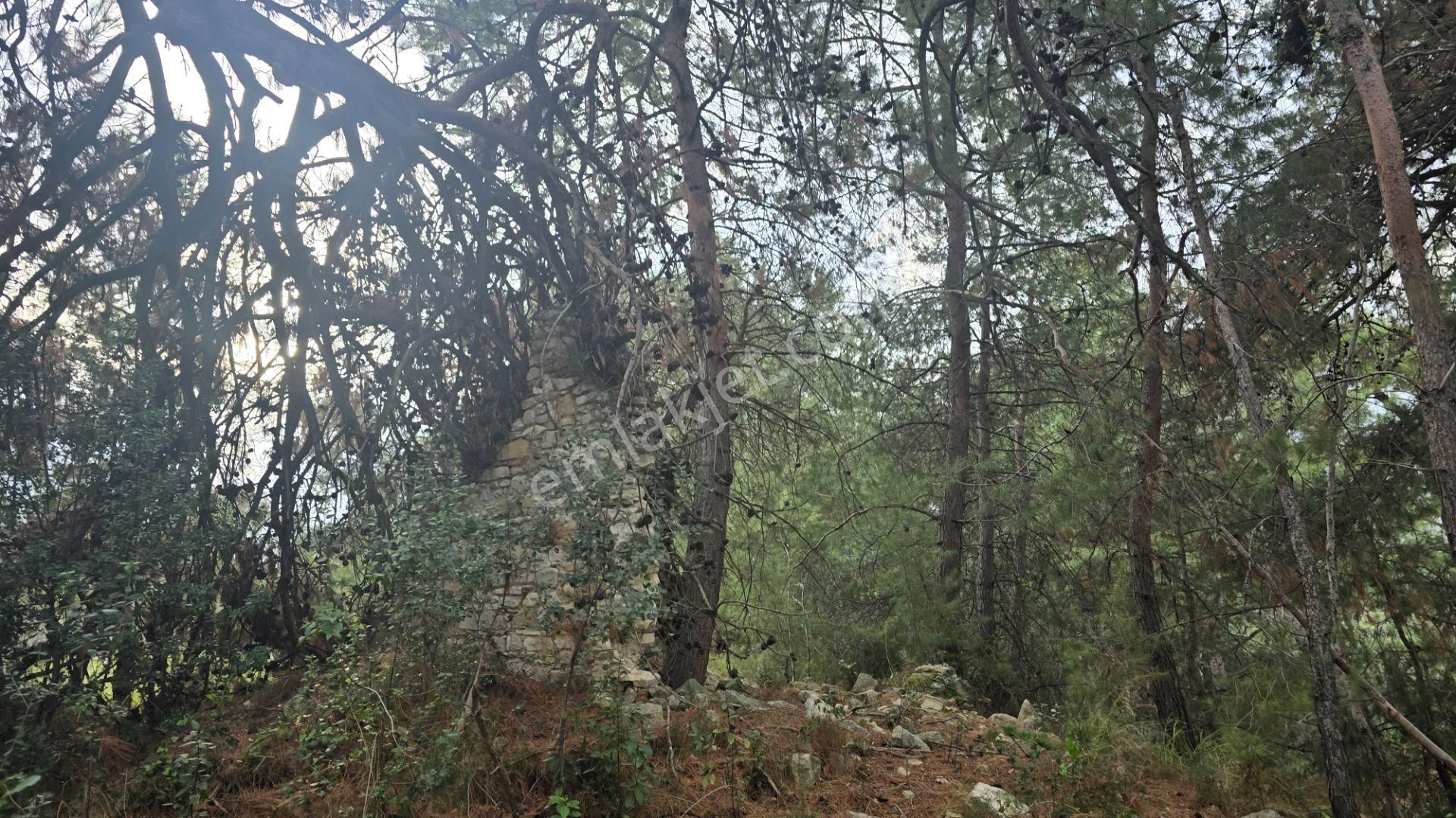 Urla Yelaltı’nda Deniz Manzaralı, Lüks Villalar Arasında Özel Tarla - Görsel 21