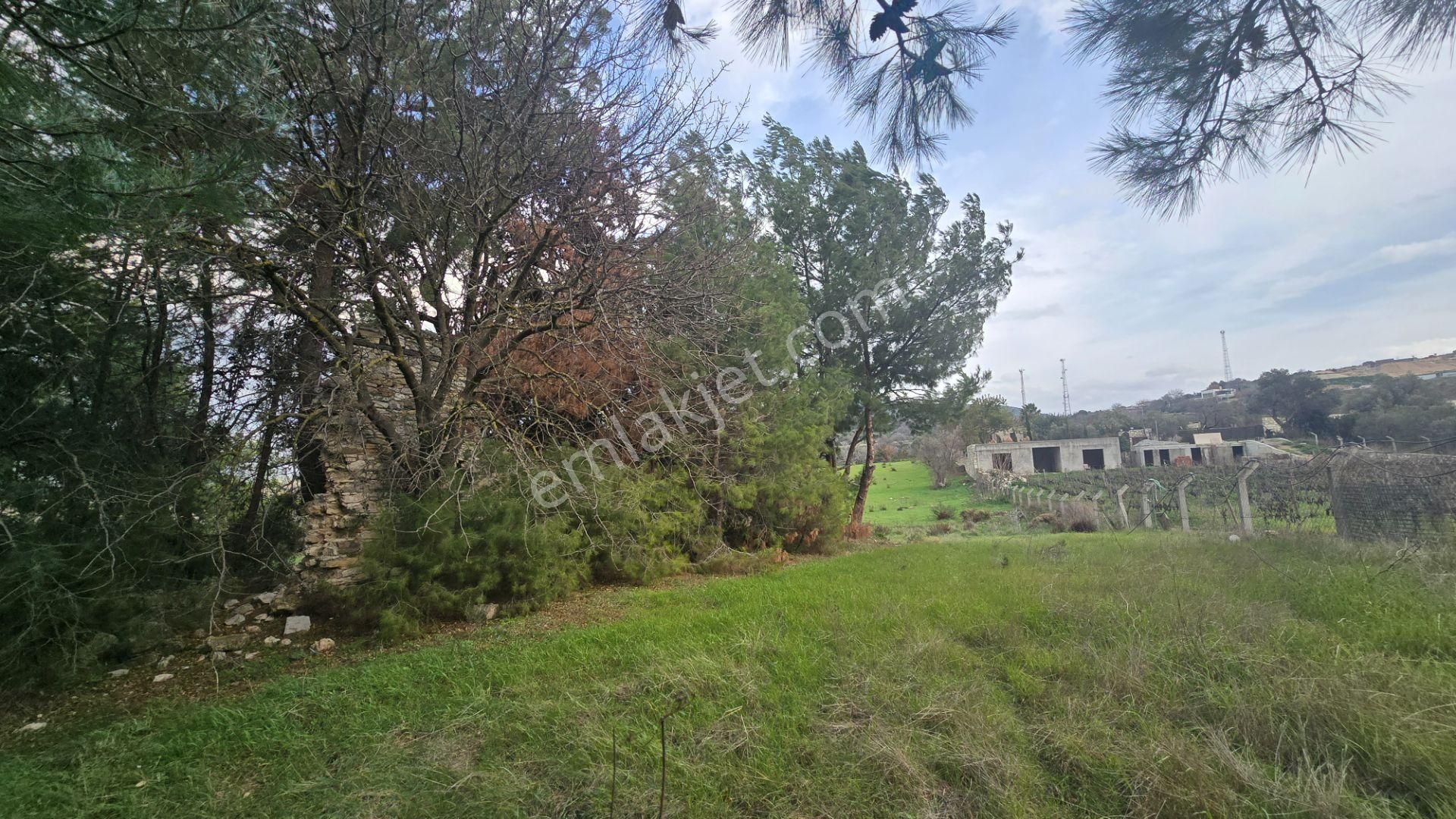 Urla Yelaltı’nda Deniz Manzaralı, Lüks Villalar Arasında Özel Tarla - Görsel 33