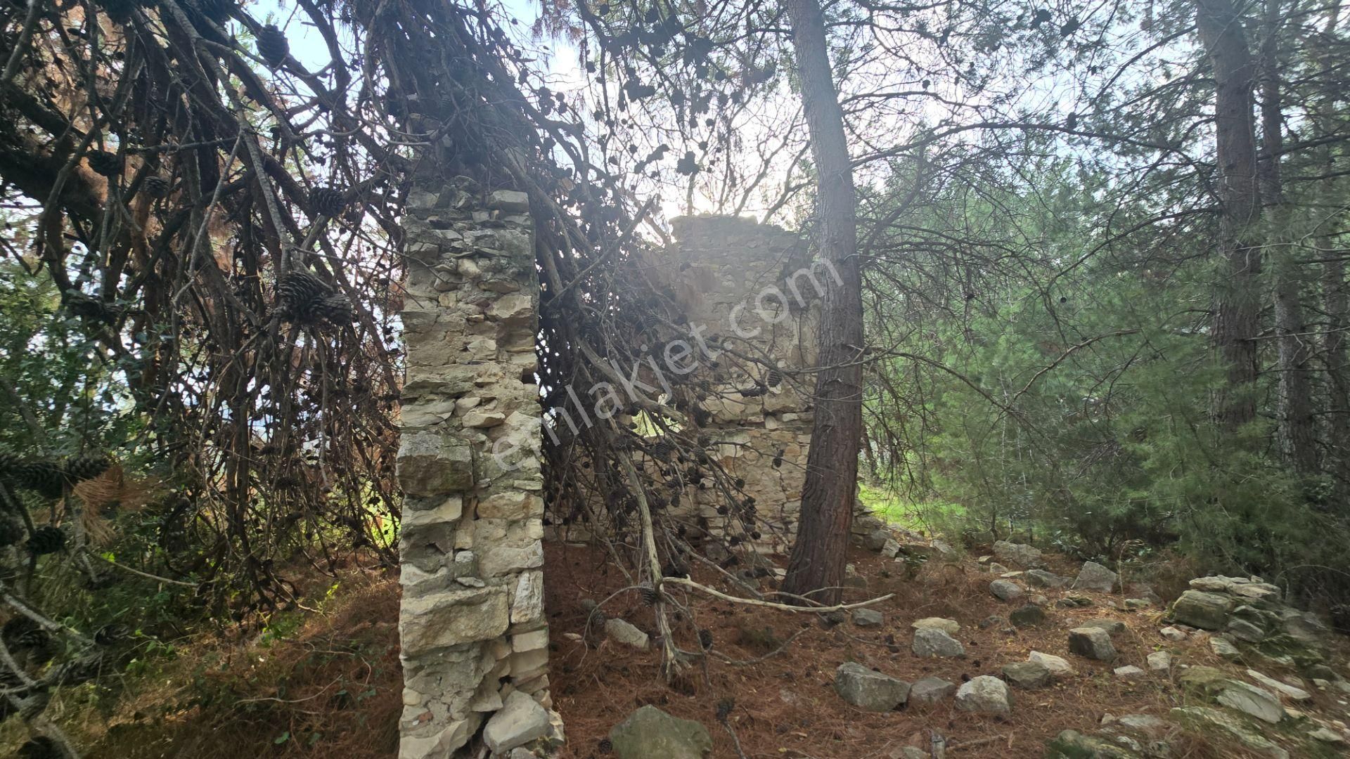 Urla Yelaltı’nda Deniz Manzaralı, Lüks Villalar Arasında Özel Tarla - Görsel 23