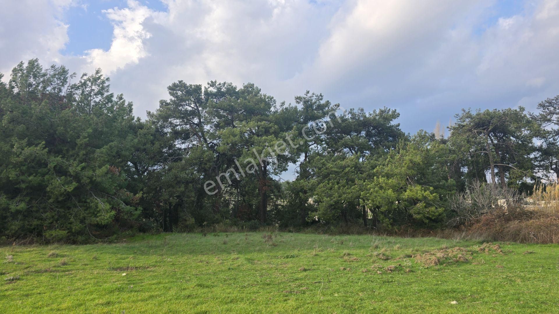 Urla Yelaltı’nda Deniz Manzaralı, Lüks Villalar Arasında Özel Tarla - Görsel 17