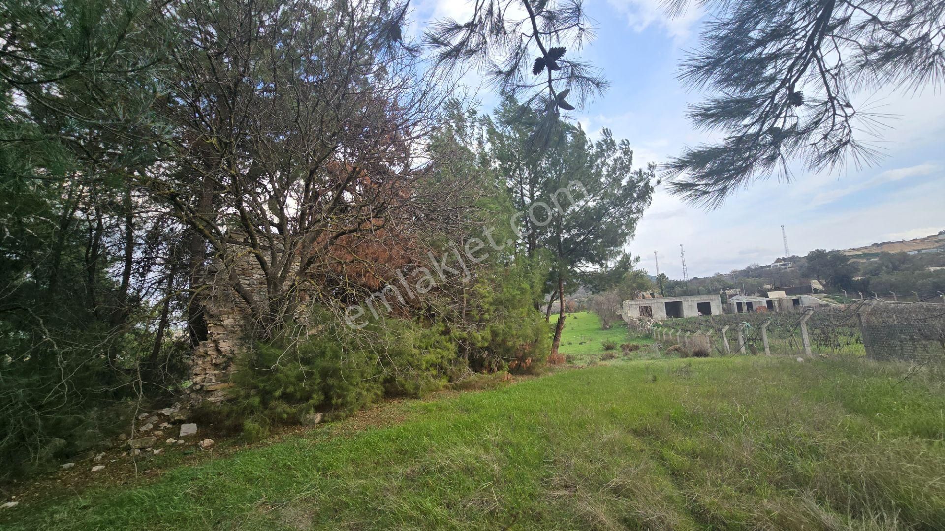 Urla Yelaltı’nda Deniz Manzaralı, Lüks Villalar Arasında Özel Tarla - Görsel 31