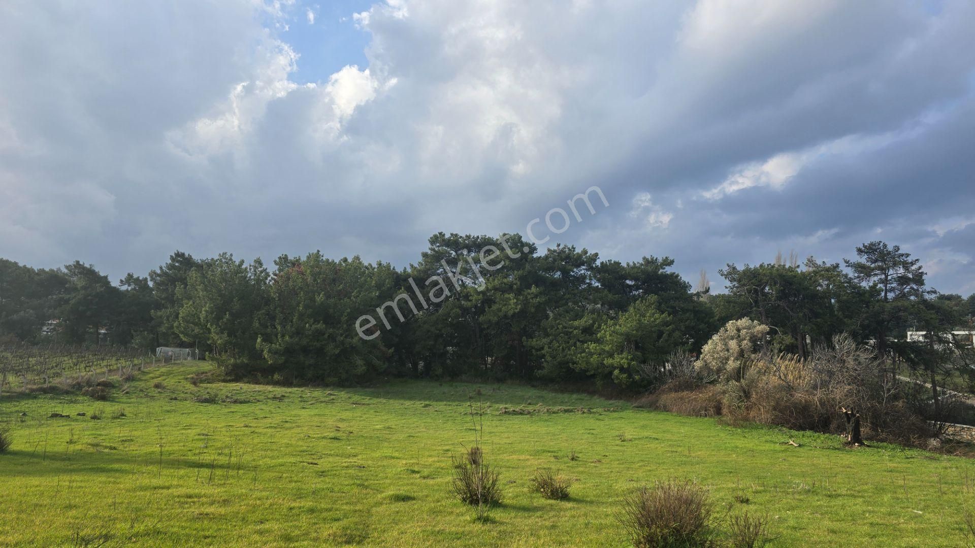 Urla Yelaltı’nda Deniz Manzaralı, Lüks Villalar Arasında Özel Tarla - Görsel 16