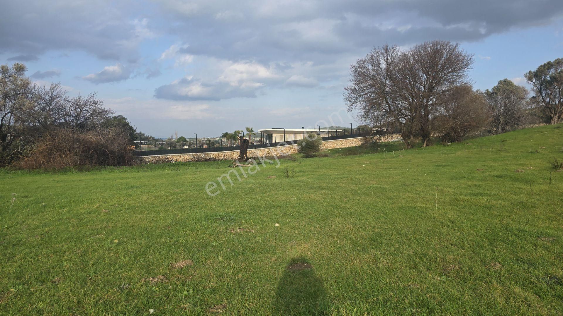 Urla Yelaltı’nda Deniz Manzaralı, Lüks Villalar Arasında Özel Tarla - Görsel 19