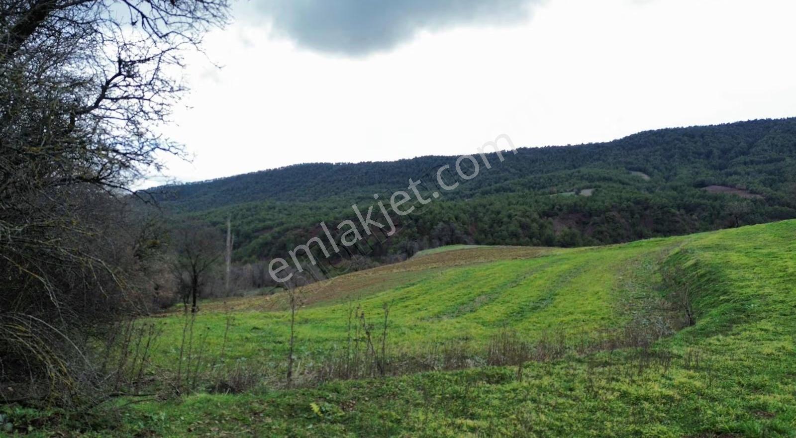 Göynük Dağşeyhleri Köyünde Köy Manzaralı 1329 M2 Satılık Arazi - Görsel 15