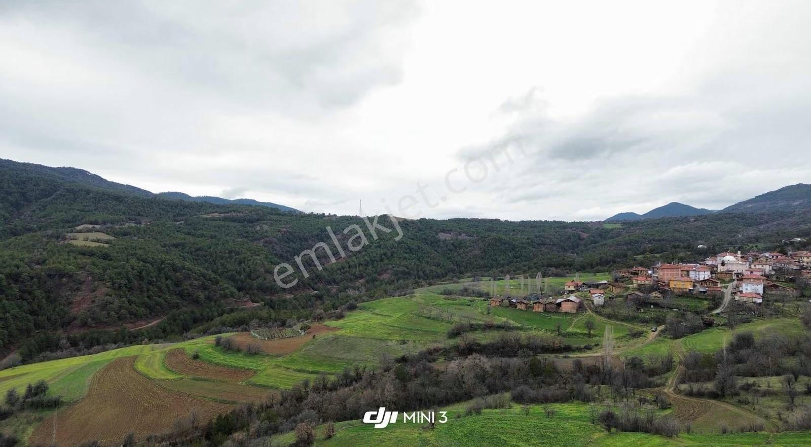 Göynük Dağşeyhleri Köyünde Köy Manzaralı 1329 M2 Satılık Arazi - Görsel 19