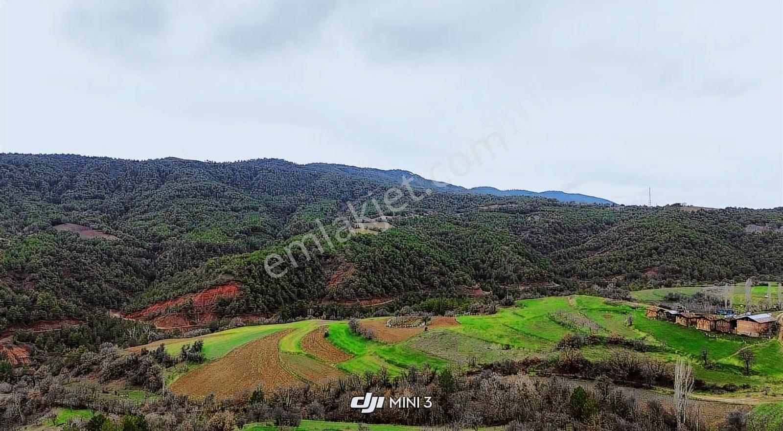 Göynük Dağşeyhleri Köyünde Köy Manzaralı 1329 M2 Satılık Arazi - Görsel 13