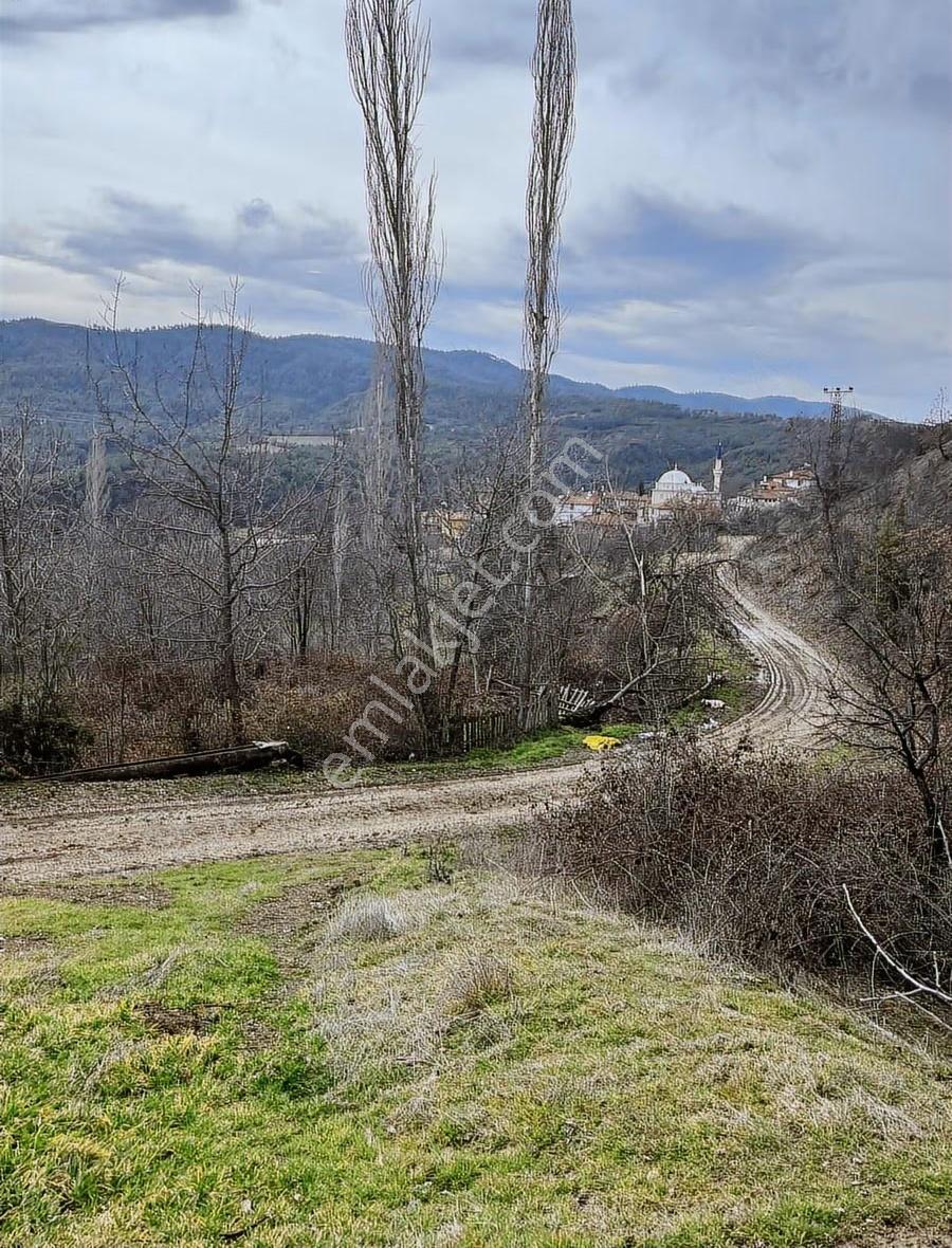 Göynük Dağşeyhleri Köyünde 1538m2 Tamamı Köy Manzaralı Arazi - Görsel 21