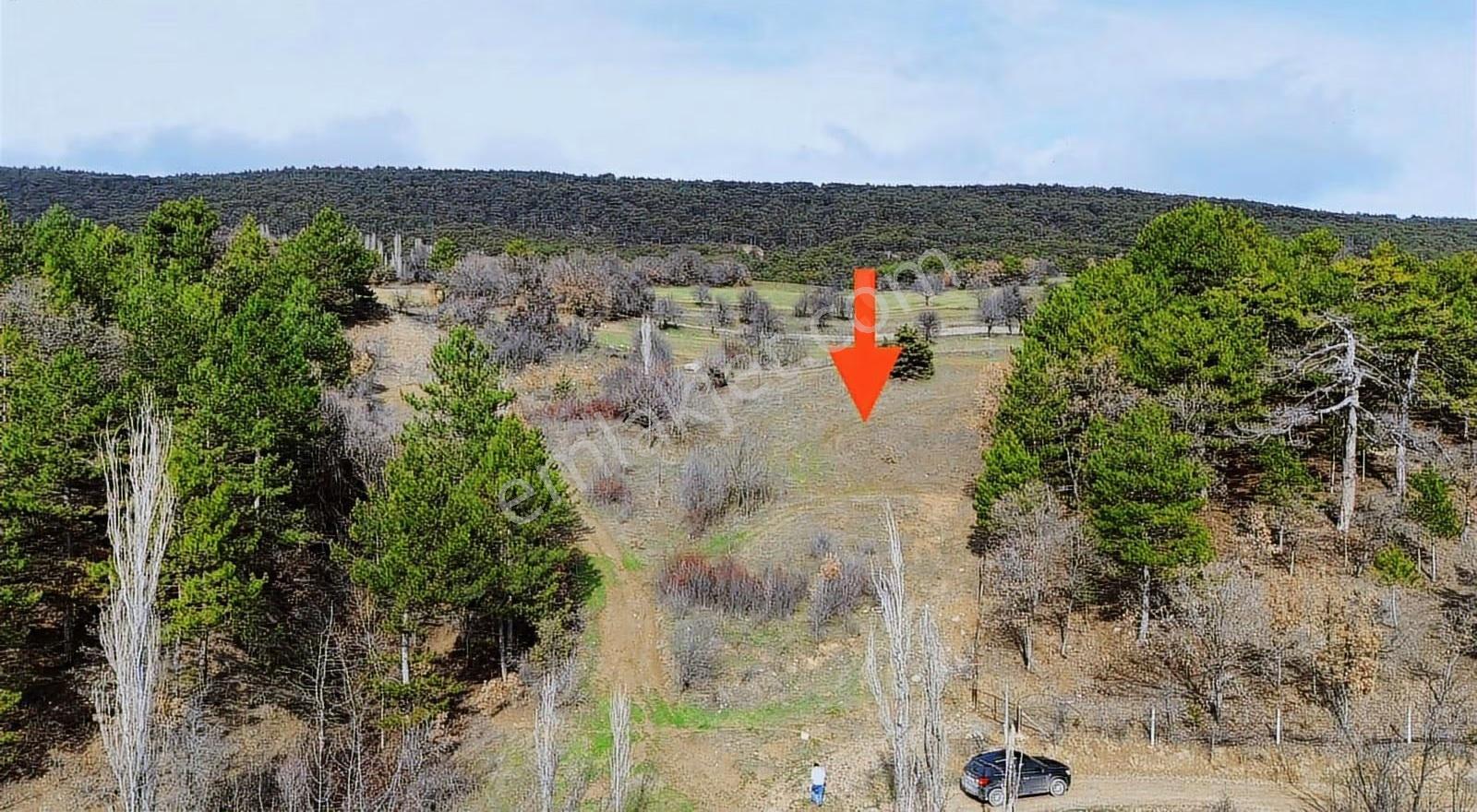 Göynük Dağşeyhleri Köyünde 1538m2 Tamamı Köy Manzaralı Arazi - Görsel 13