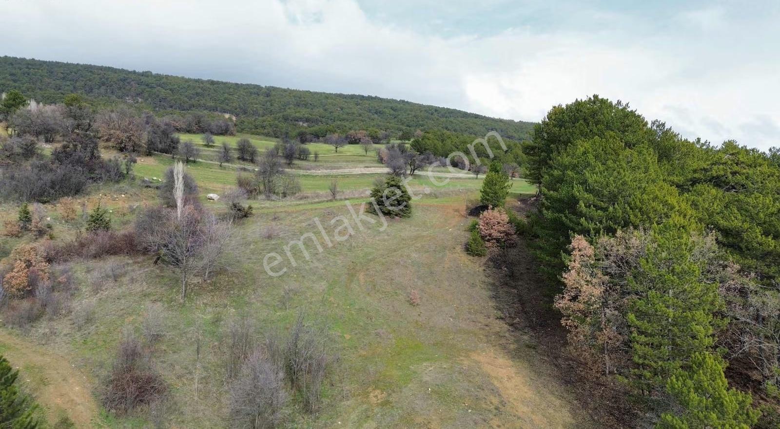 Göynük Dağşeyhleri Köyünde 1538m2 Tamamı Köy Manzaralı Arazi - Görsel 5