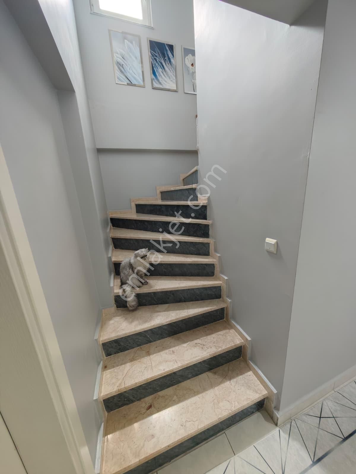 Re/max Palas'tan | Merkezi Konumlu 2+1 Satılık Daire - Görsel 17